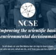 NCSE Logo