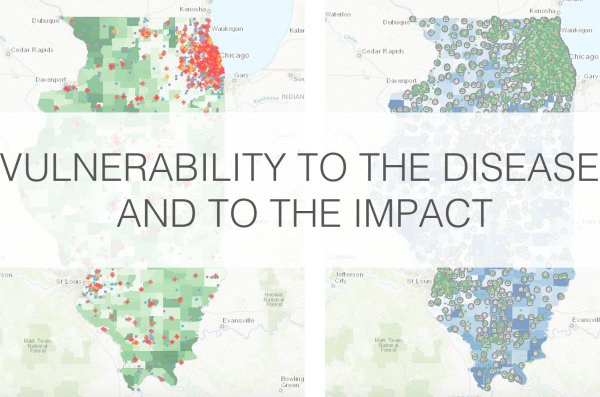 two pictures of illinois mapping vulnerability to the disease and impact of COVID-19